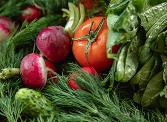 food, vegetable, tomato, vegetables, pepper, healthy, fresh, cucumber, vegetarian, salad, onion, diet, isolated, red, fruit, lettuce, cabbage, carrot, garlic, white, health, broccoli, agriculture, pap