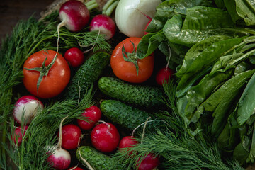 food, vegetable, tomato, vegetables, pepper, healthy, fresh, cucumber, vegetarian, salad, onion, diet, isolated, red, fruit, lettuce, cabbage, carrot, garlic, white, health, broccoli, agriculture, pap