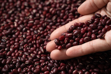 Raw adzuki red bean as background with spoon.