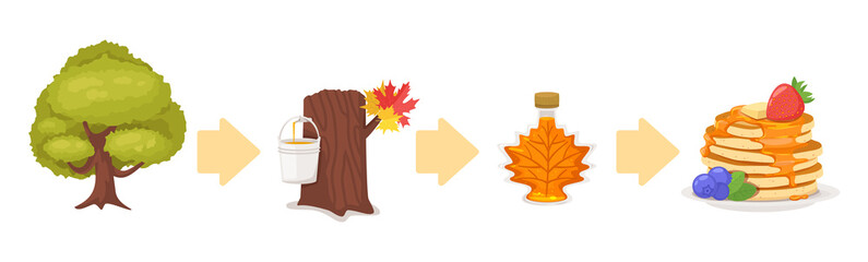 Vector cartoon illustration of producing maple syrup. - obrazy, fototapety, plakaty