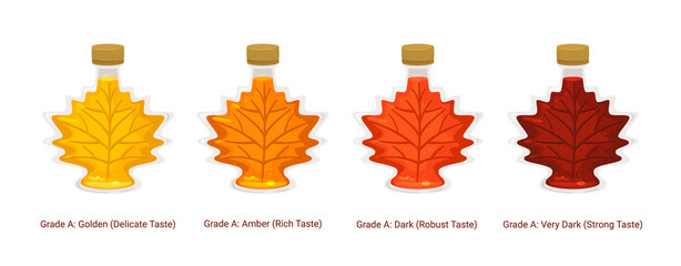 set maple grades or types of syrup
