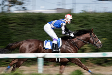 競走馬