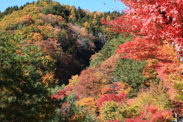 秋、紅葉の河口湖畔の風景