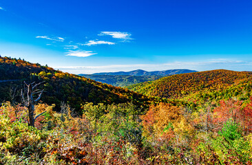 Fototapeta na wymiar Blue Ridge Mountains Fall Colors