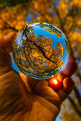 Yellowed autumn trees seen through the crystal ball