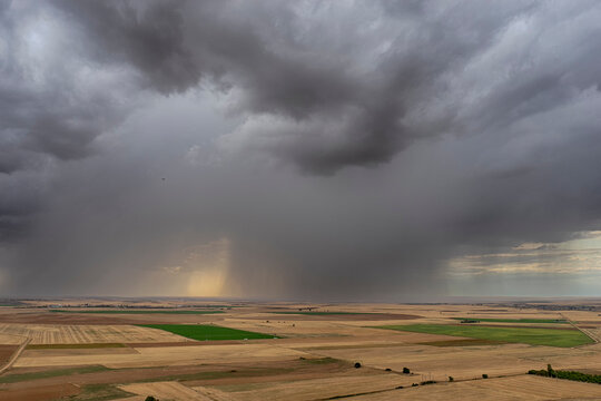 aparición de una tormenta en un campo de cultivo