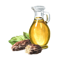 Fragrant tonka bean oil, Watercolor hand drawn illustration, isolated on white background