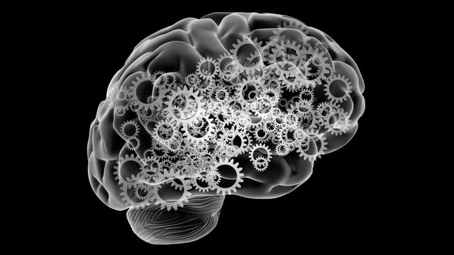 Clockwork Brain.
X ray style brain filled with turning gears. Loops.