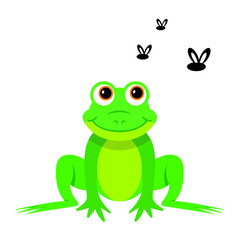 cute green frog on a white background, vector illustration 