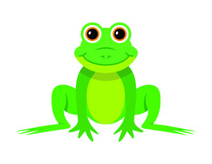 cute green frog, vector illustration 