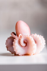 Boiled octopus on a plate
