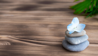 Gray sea pebbles and gartens flower on wooden background