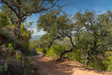 Hiking track Amendoeira near Loule in Algarve Portugal.
