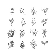 Hand drawn floral ornaments. Branches and leaves doodle collection. Decorative plants illustrations.