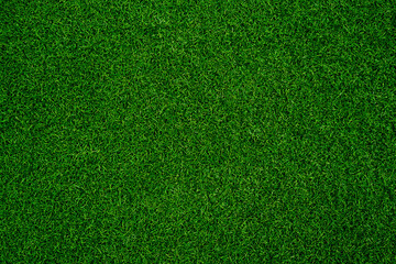 Green grass texture background grass garden  concept used for making green background football pitch, Grass Golf,  green lawn pattern textured background.