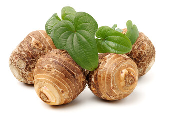 Taro on a white background