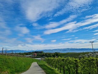 Bodensee