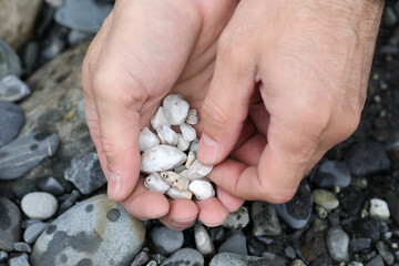 Man hand picking up stones from the river beach