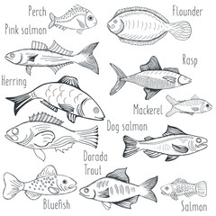 Vector illustration sketch - fish marketCard menu seafood. vintage design template, banner.