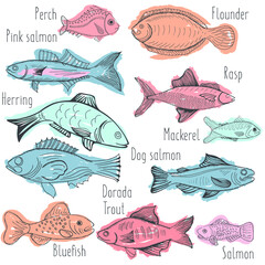 Vector illustration sketch - fish marketCard menu seafood. vintage design template, banner.