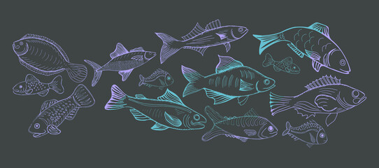 Vector illustration sketch - fish marketCard menu seafood. vintage design template, banner.