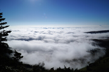 渋峠からの眺めた雲海