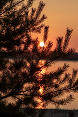 Russia. Spring. Morning. Sanatorium Lunevo. View from the pier of the Volga bank with the rising sun on the Christmas tree.