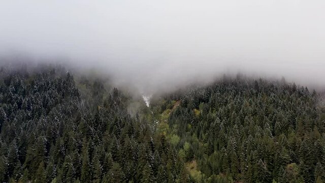 Aerial view of the forest in the mountains. Amazing landscape. Beautiful autumn trees covered with clouds. The trees are hidden in the clouds. Snow on the trees. 4K drone video. Caucasus mountains.
