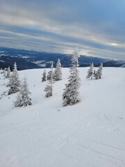 Snowy landscape on the mountainside. Ukraine Dragobrat