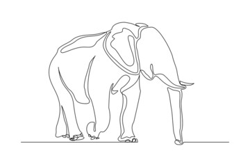 Continuous line of walking standing elephant. Single one line art of wild elephant. Vector illustration