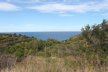 France, environs de la ville de Collioure