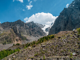 Mountain forest on a rocky mountainside under blue sky with white cloud.