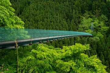 壮大な自然と吊橋の風景
