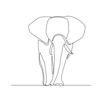 Continuous line of walking standing elephant. Single one line art of wild elephant. Vector illustration