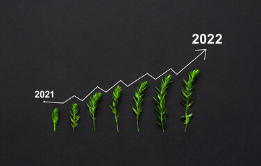 Seedling are growing with growth comparative year 2021 to 2022. New year 2022 success, strategy,...