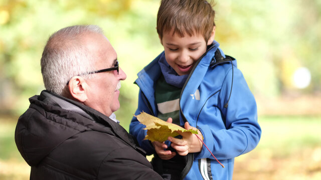 Grandfather and little grandson walking in the autumn park. soft selective focus