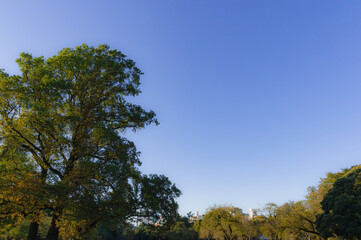 東京都新宿区にある公園の風景