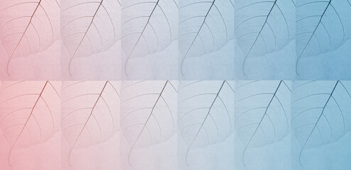 Close-up of a leaf. skeleton leaf leaves with a transparent shape .the leaves look abstract from nature and have a pattern at seamless background .beautiful colors for text and advertising