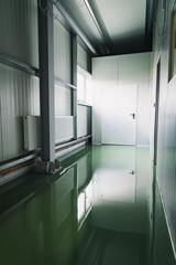 New cold rooms in the butchery industry with green epoxy resin floors
