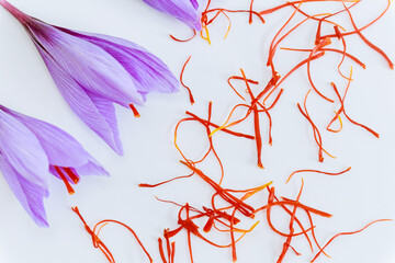 Crocus flowers and saffron stamens on a white background close up. Macro photo.