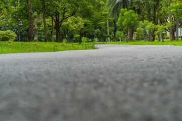 Empty street, green city park with blue sky. Pathway and beautiful trees track for running or walking and cycling relax in park on green grass field on the side.