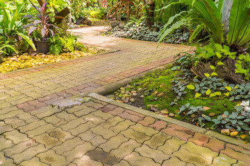Tropical botanical garden decorated with many types of plants. Beautiful botanic garden with stone path.