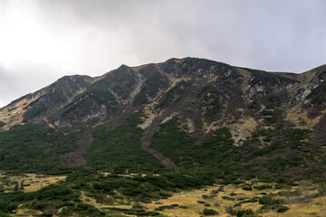 Autumn in Carpathians
