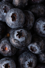 Macro photography of wet blueberries