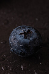Macro photography of wet blueberries