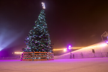 Ice skating rink with Christmas tree in city center at night