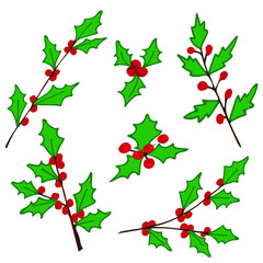 Holly berries.  Set of holly branches with berries on white background for Christmas cards and decorative design.Vector illustrations.