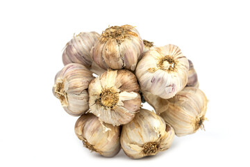 The bunch of fresh white garlic