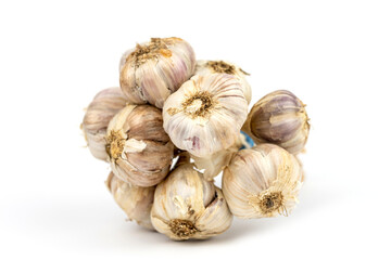 The bunch of fresh white garlic
