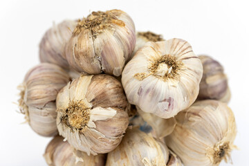 The bunch of fresh white garlic